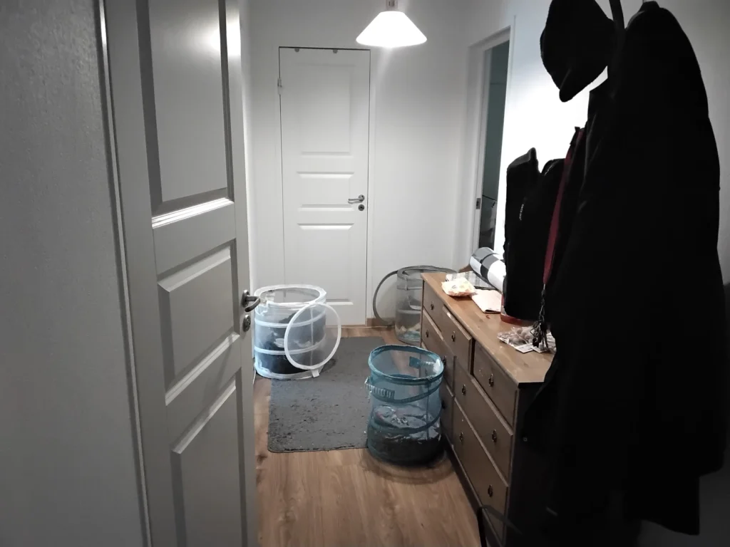 Hall före1