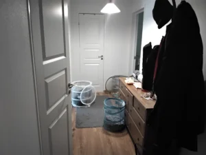 Hall före1
