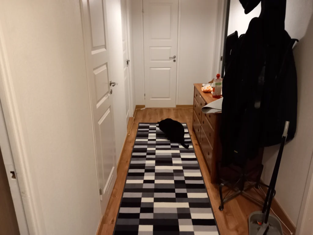 hall efter